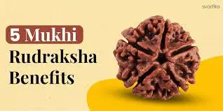 5  MUKHI.webp