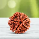 5Mukhirudraksha.webp